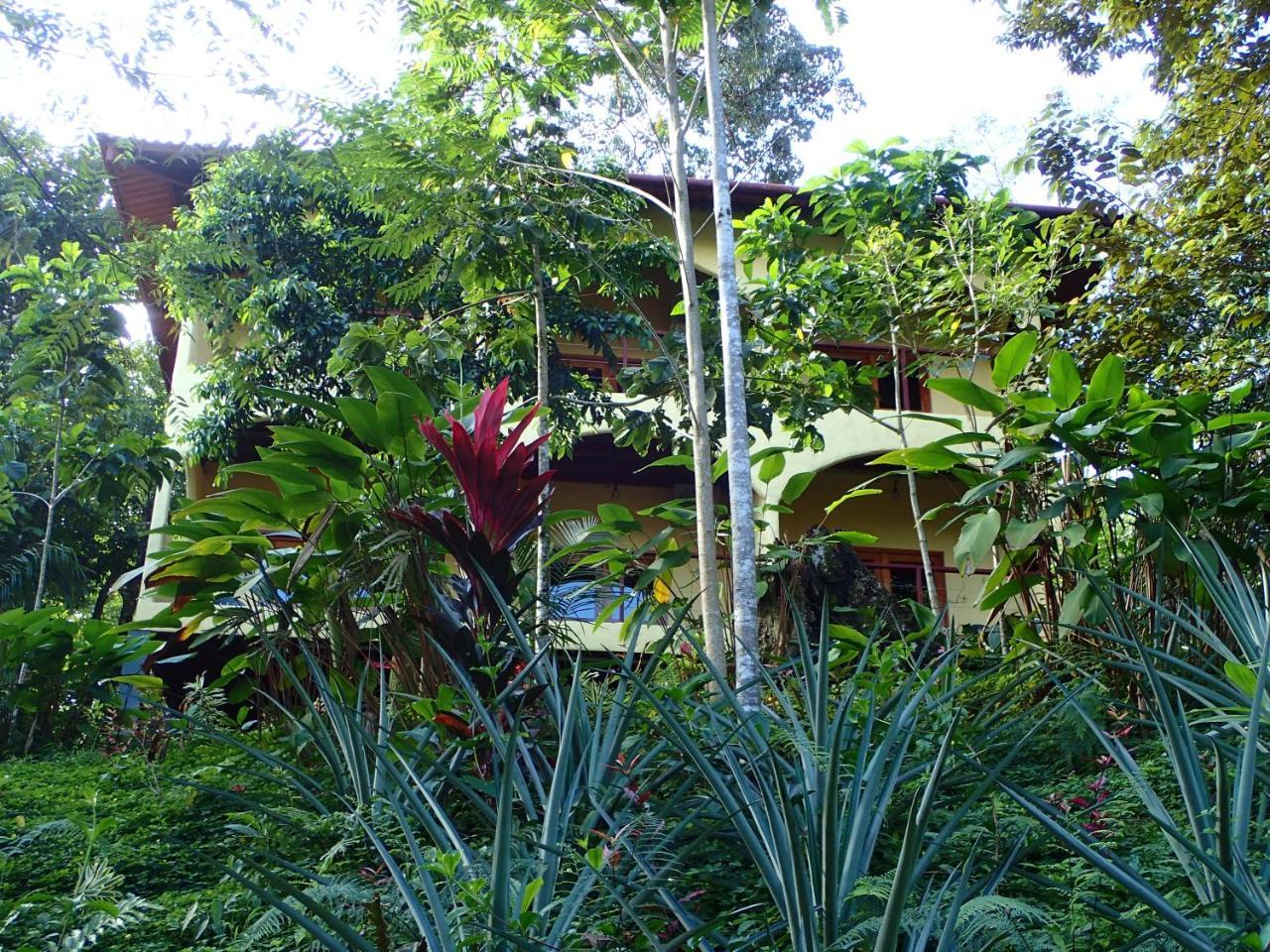 Morrillo Beach Eco Resort Kültér fotó
